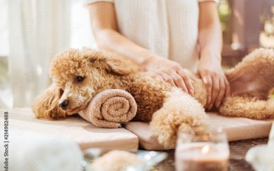 Trattamenti benessere Spa e Ozonoterapia